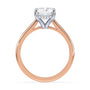 lm-preview|ryan-hidden-halo-cathedral-solitaire-setting|tt-rose|radiant