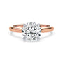 lm-preview|ryan-hidden-halo-cathedral-solitaire-setting|tt-rose|round