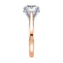 lm-preview|ryan-hidden-halo-cathedral-solitaire-setting|tt-rose|round