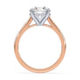 lm-preview|ryan-hidden-halo-cathedral-solitaire-setting|tt-rose|round