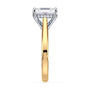 lm-preview|ryan-hidden-halo-cathedral-solitaire-setting|tt-yellow|elongated-cushion