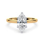 lm-preview|ryan-hidden-halo-cathedral-solitaire-setting|tt-yellow|marquise