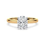 lm-preview|ryan-hidden-halo-cathedral-solitaire-setting|tt-yellow|oval