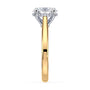 lm-preview|ryan-hidden-halo-cathedral-solitaire-setting|tt-yellow|oval