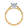 lm-preview|ryan-hidden-halo-cathedral-solitaire-setting|tt-yellow|oval