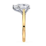 lm-preview|ryan-hidden-halo-cathedral-solitaire-setting|tt-yellow|pear