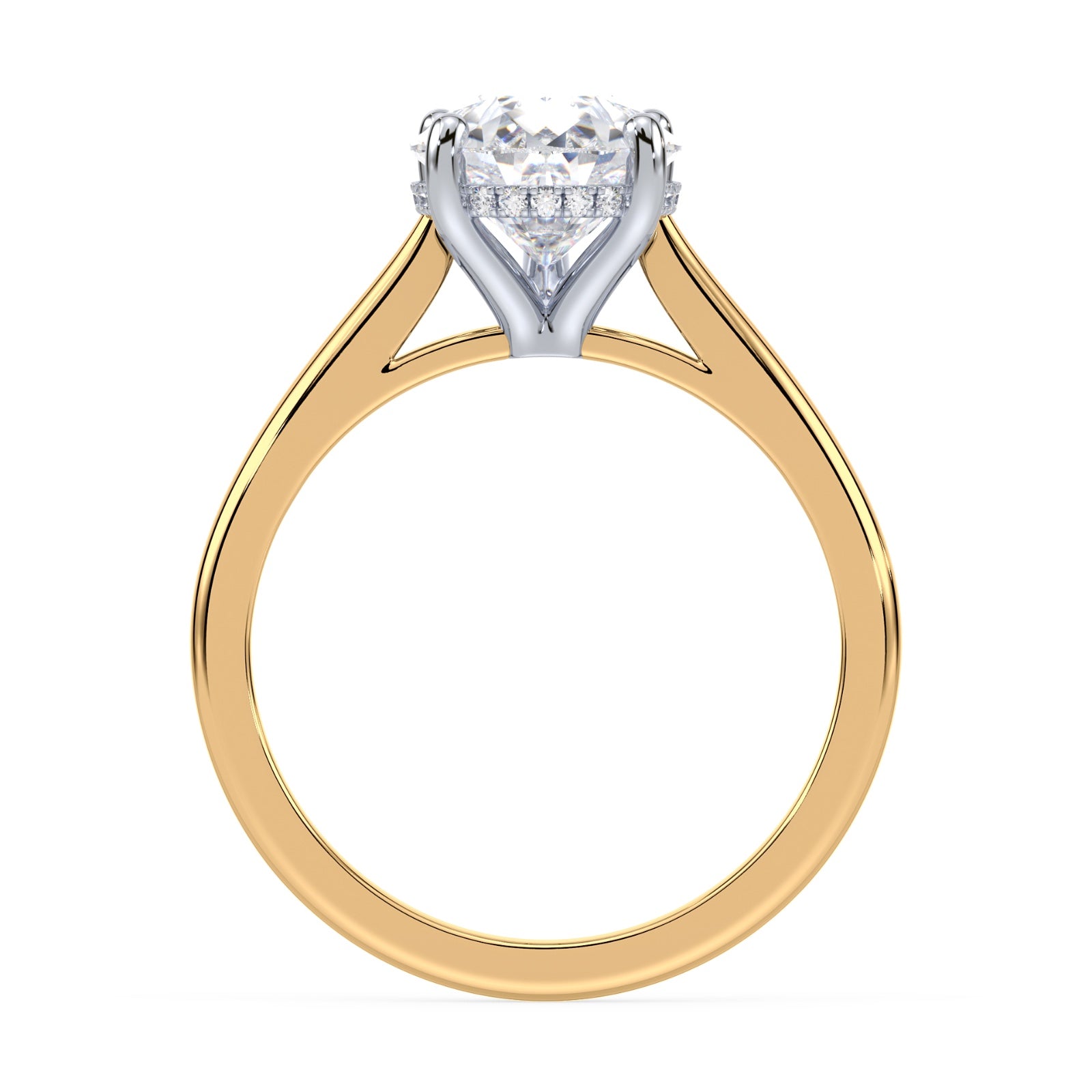 lm-preview|ryan-hidden-halo-cathedral-solitaire-setting|tt-yellow|pear