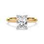 lm-preview|ryan-hidden-halo-cathedral-solitaire-setting|tt-yellow|radiant