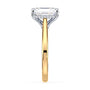 lm-preview|ryan-hidden-halo-cathedral-solitaire-setting|tt-yellow|radiant