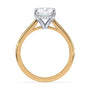 lm-preview|ryan-hidden-halo-cathedral-solitaire-setting|tt-yellow|radiant