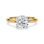 lm-preview|ryan-hidden-halo-cathedral-solitaire-setting|tt-yellow|round