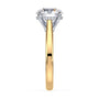 lm-preview|ryan-hidden-halo-cathedral-solitaire-setting|tt-yellow|round