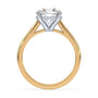 lm-preview|ryan-hidden-halo-cathedral-solitaire-setting|tt-yellow|round