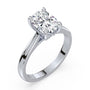 lm-preview|ryan-hidden-halo-cathedral-solitaire-setting|white|elongated-cushion