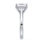 lm-preview|ryan-hidden-halo-cathedral-solitaire-setting|white|elongated-cushion