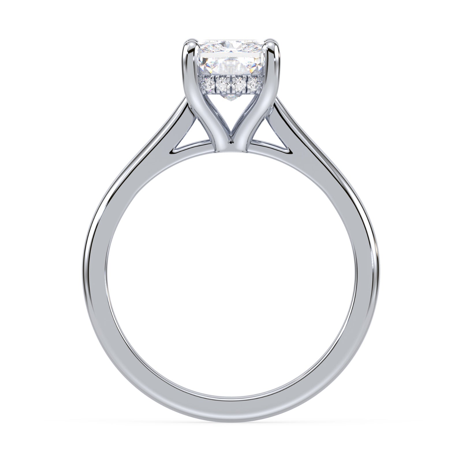 lm-preview|ryan-hidden-halo-cathedral-solitaire-setting|white|elongated-cushion