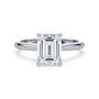 lm-preview|ryan-hidden-halo-cathedral-solitaire-setting|white|emerald