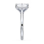 lm-preview|ryan-hidden-halo-cathedral-solitaire-setting|white|emerald
