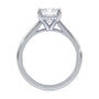 lm-preview|ryan-hidden-halo-cathedral-solitaire-setting|white|emerald