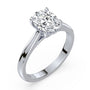 lm-preview|ryan-hidden-halo-cathedral-solitaire-setting|white|oval