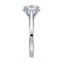lm-preview|ryan-hidden-halo-cathedral-solitaire-setting|white|oval