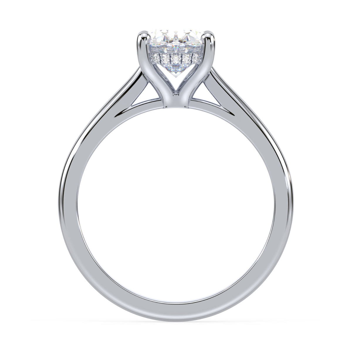 lm-preview|ryan-hidden-halo-cathedral-solitaire-setting|white|oval