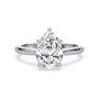 lm-preview|ryan-hidden-halo-cathedral-solitaire-setting|white|pear
