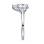 lm-preview|ryan-hidden-halo-cathedral-solitaire-setting|white|pear