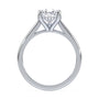 lm-preview|ryan-hidden-halo-cathedral-solitaire-setting|white|pear