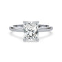 lm-preview|ryan-hidden-halo-cathedral-solitaire-setting|white|radiant