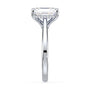 lm-preview|ryan-hidden-halo-cathedral-solitaire-setting|white|radiant
