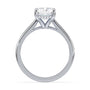 lm-preview|ryan-hidden-halo-cathedral-solitaire-setting|white|radiant