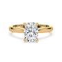 lm-preview|ryan-hidden-halo-cathedral-solitaire-setting|yellow|elongated-cushion