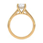 lm-preview|ryan-hidden-halo-cathedral-solitaire-setting|yellow|elongated-cushion