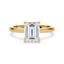 lm-preview|ryan-hidden-halo-cathedral-solitaire-setting|yellow|emerald