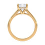 lm-preview|ryan-hidden-halo-cathedral-solitaire-setting|yellow|emerald