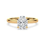 lm-preview|ryan-hidden-halo-cathedral-solitaire-setting|yellow|oval