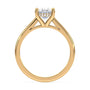 lm-preview|ryan-hidden-halo-cathedral-solitaire-setting|yellow|oval