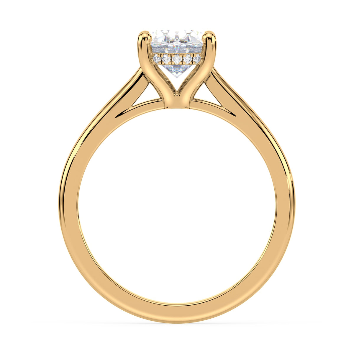 lm-preview|ryan-hidden-halo-cathedral-solitaire-setting|yellow|oval