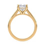 lm-preview|ryan-hidden-halo-cathedral-solitaire-setting|yellow|pear