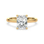 lm-preview|ryan-hidden-halo-cathedral-solitaire-setting|yellow|radiant