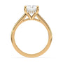 lm-preview|ryan-hidden-halo-cathedral-solitaire-setting|yellow|radiant