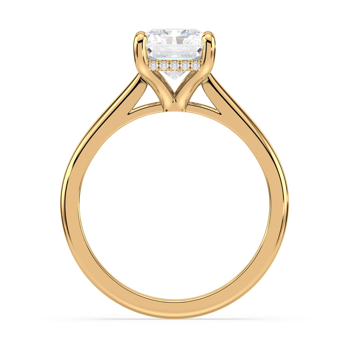 lm-preview|ryan-hidden-halo-cathedral-solitaire-setting|yellow|radiant