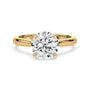 lm-preview|ryan-hidden-halo-cathedral-solitaire-setting|yellow|round