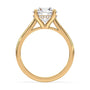 lm-preview|ryan-hidden-halo-cathedral-solitaire-setting|yellow|round