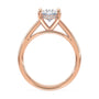 lm-preview|scottie-hidden-halo-cathedral-solitaire-setting|rose|oval