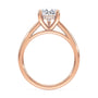 lm-preview|scottie-hidden-halo-cathedral-solitaire-setting|rose|pear