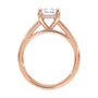 lm-preview|scottie-hidden-halo-cathedral-solitaire-setting|rose|radiant