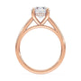 lm-preview|scottie-hidden-halo-cathedral-solitaire-setting|rose|round