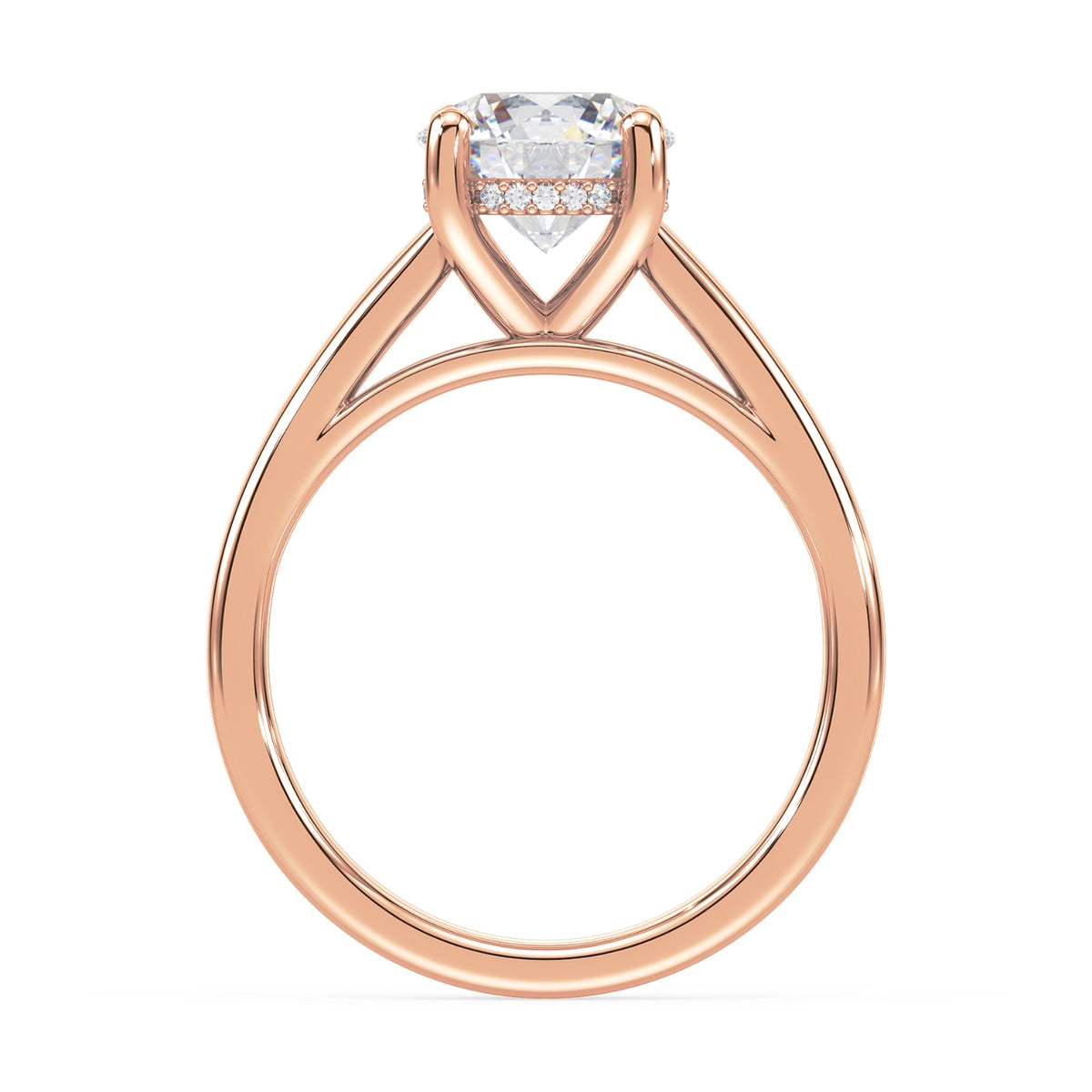 lm-preview|scottie-hidden-halo-cathedral-solitaire-setting|rose|round